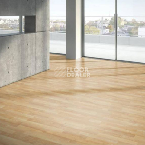 Parador Basic Plus 200 1426411 Клён Натуральный фото 2 | FLOORDEALER